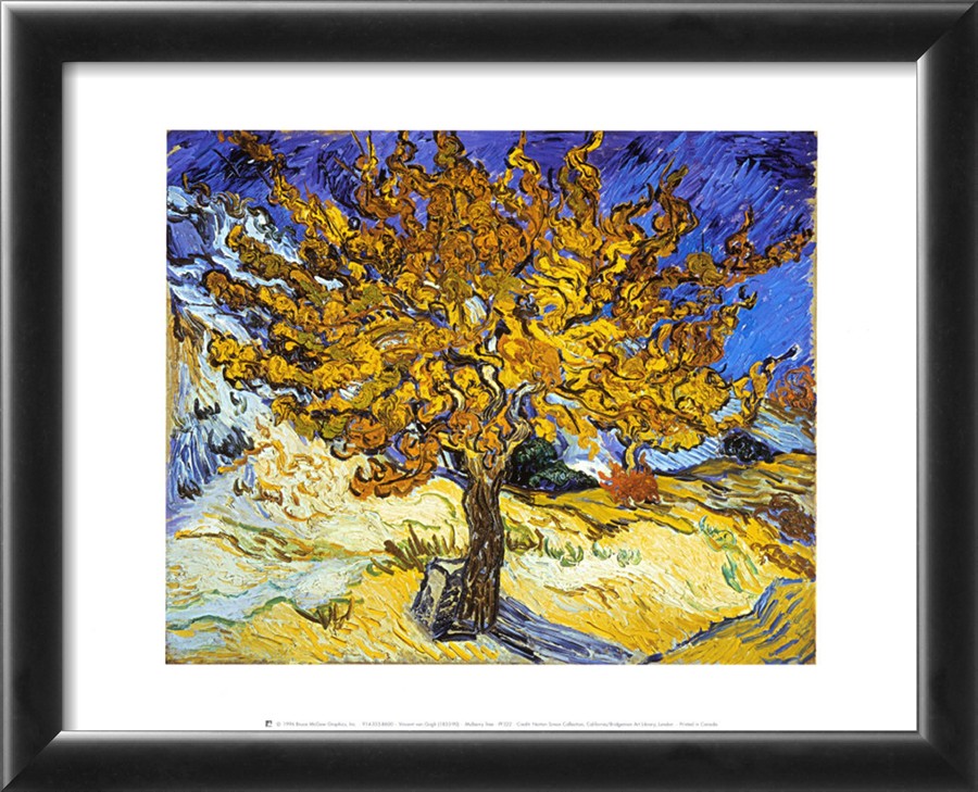 Mulberry Tree - Van Gogh Painting On Canvas